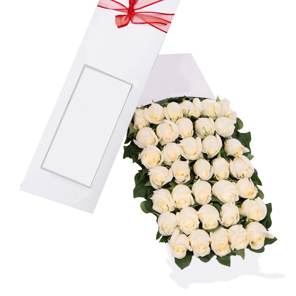 Caja 36 rosas Blancas
